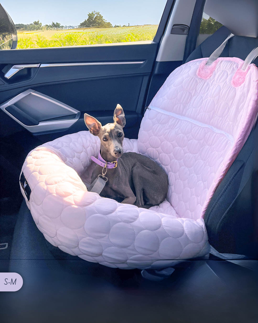 PawCool - Panier 2 en 1 Convertible rafraîchissant