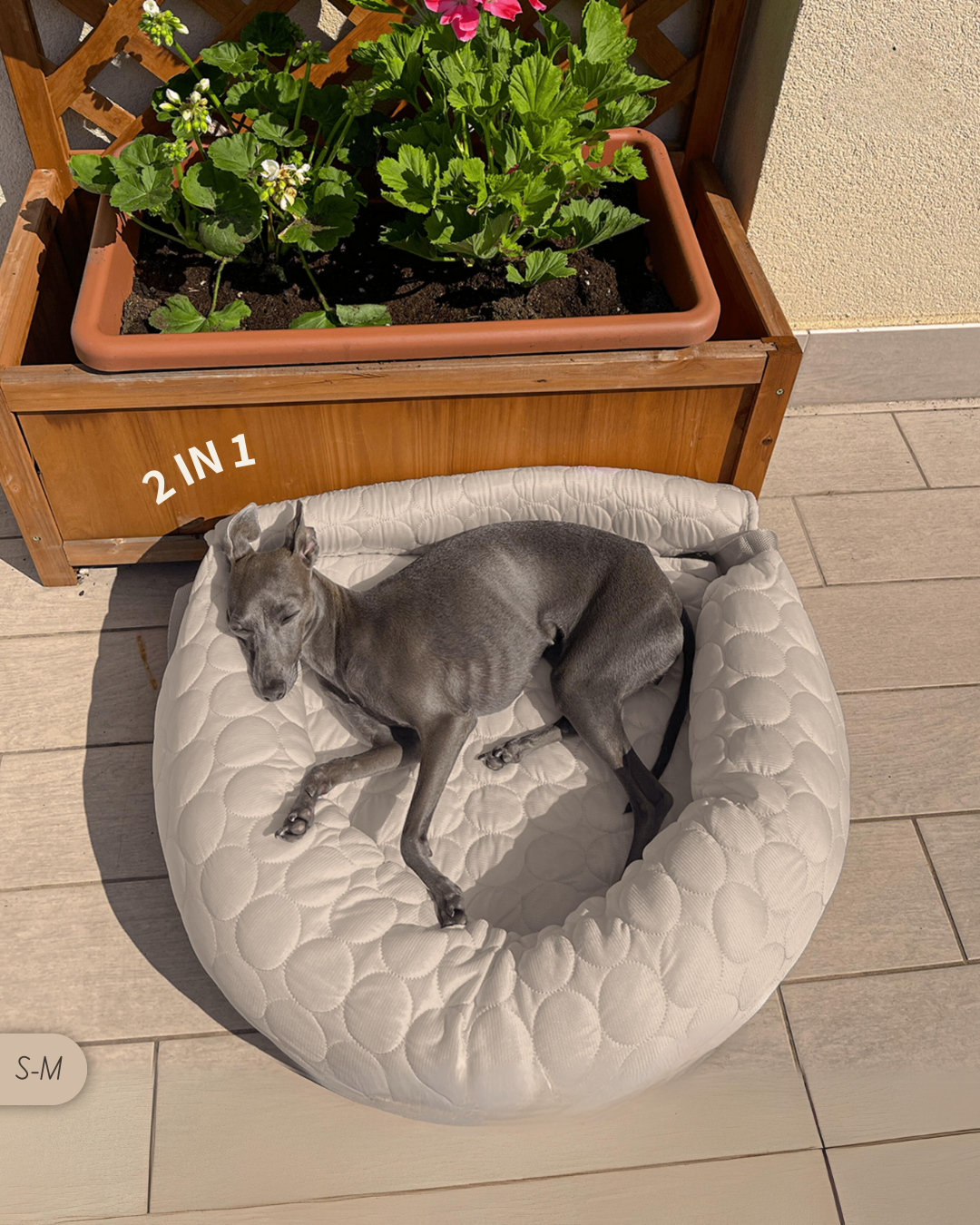 PawCool - Panier 2 en 1 Convertible rafraîchissant