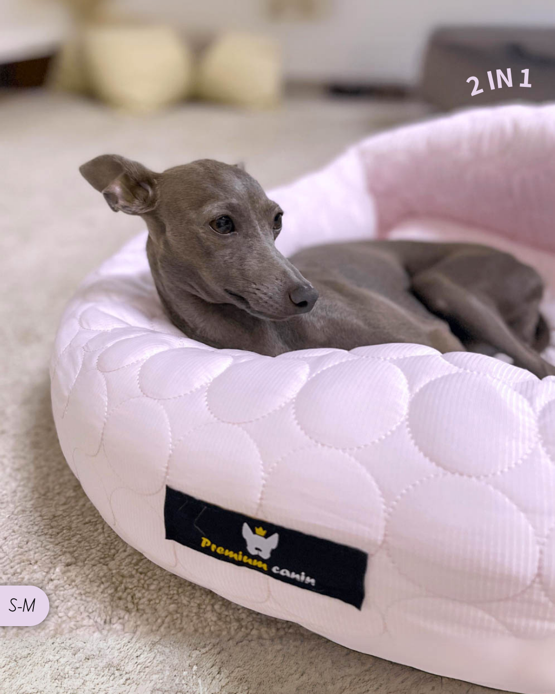 PawCool - Panier 2 en 1 Convertible rafraîchissant