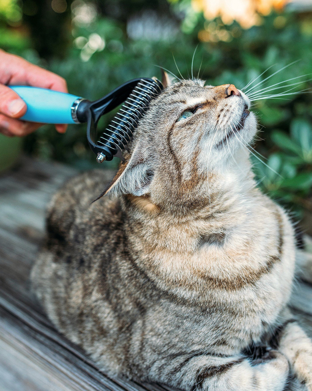 NoPoil - Peigne de Toilettage Pro 2 en 1