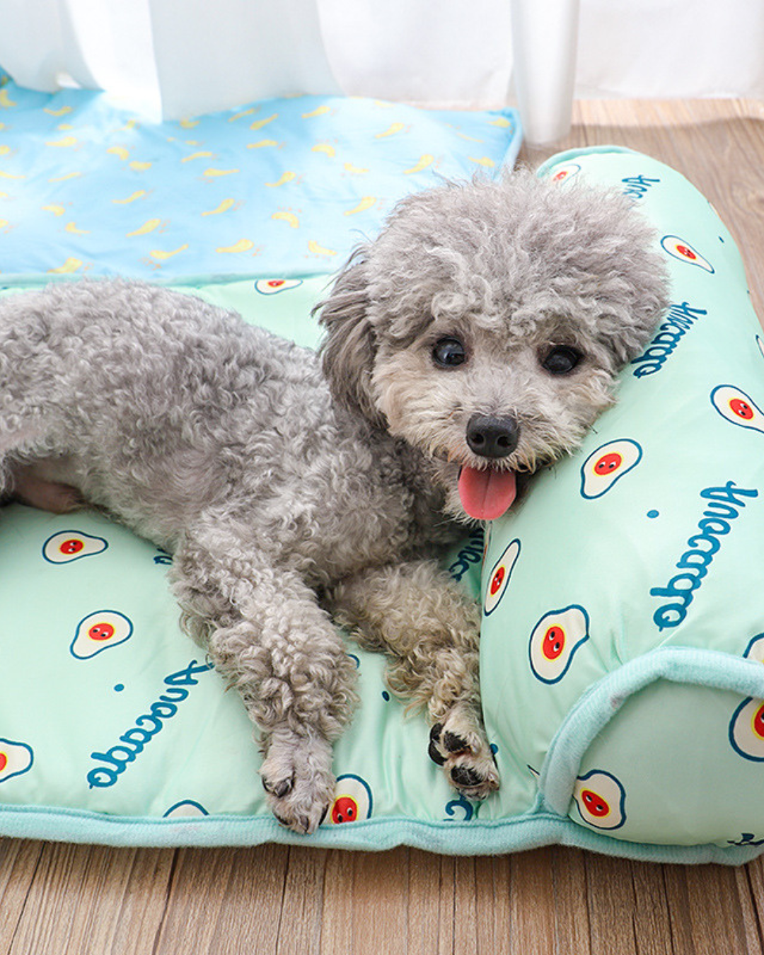 Fraichy™ - Lit Pour Chien Rafraîchissant