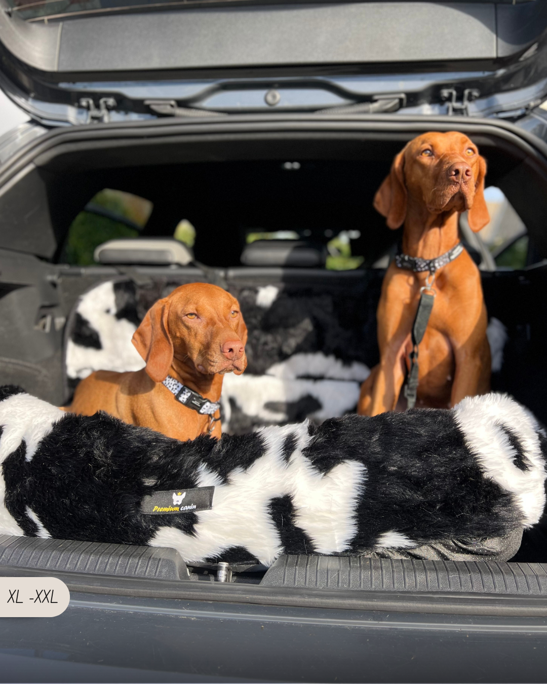 SooCozy Luxe™ - Panier 2 en 1 Protecteur-auto Convertible