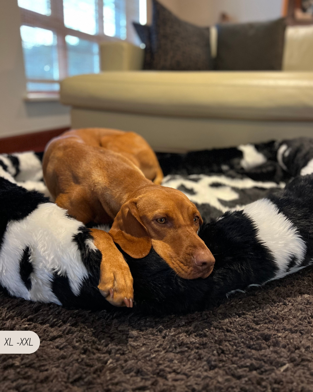 SooCozy Luxe™ - Panier 2 en 1 Protecteur-auto Convertible